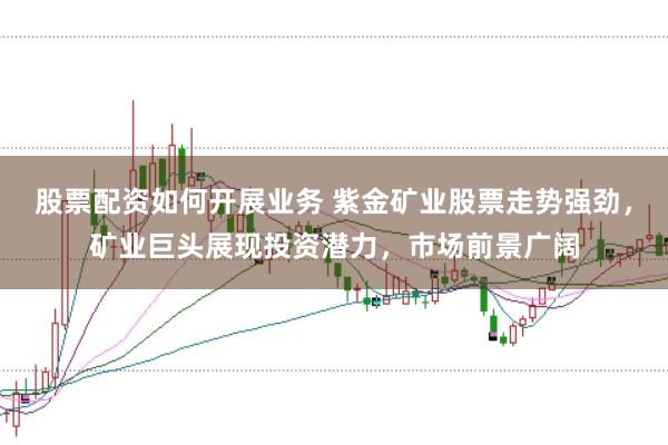 股票配资如何开展业务 紫金矿业股票走势强劲，矿业巨头展现投资潜力，市场前景广阔