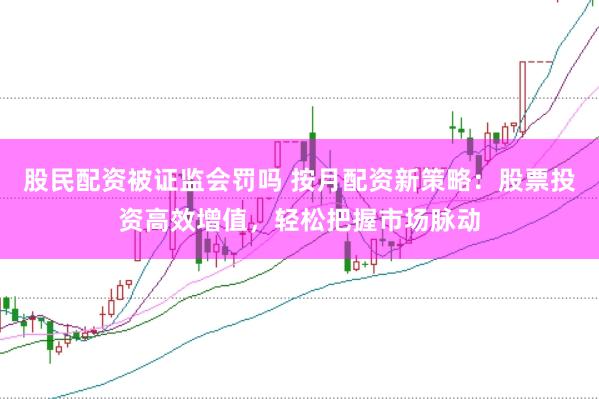 股民配资被证监会罚吗 按月配资新策略：股票投资高效增值，轻松把握市场脉动