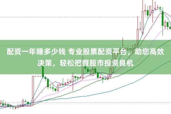 配资一年赚多少钱 专业股票配资平台，助您高效决策，轻松把握股市投资良机