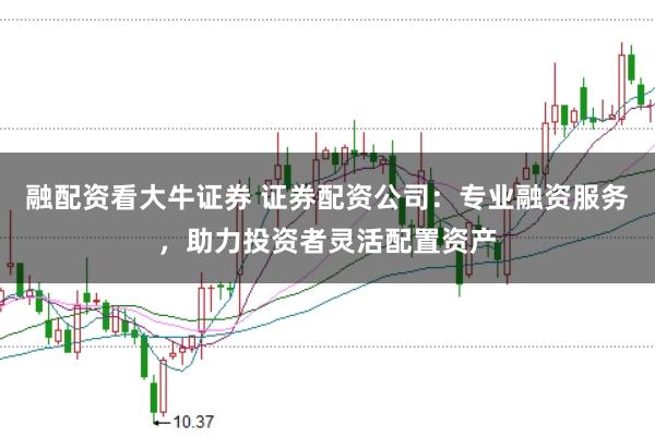 融配资看大牛证券 证券配资公司：专业融资服务，助力投资者灵活配置资产