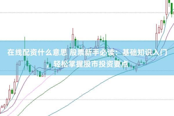 在线配资什么意思 股票新手必读：基础知识入门，轻松掌握股市投资要点