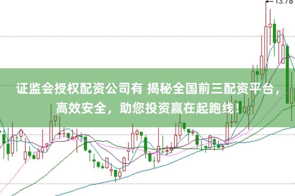证监会授权配资公司有 揭秘全国前三配资平台，高效安全，助您投资赢在起跑线！