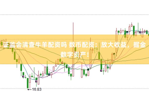 证监会清查牛羊配资吗 数币配资：放大收益，掘金数字资产！