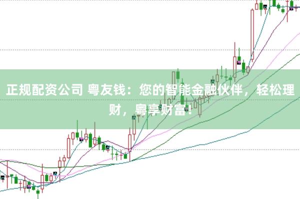 正规配资公司 粤友钱：您的智能金融伙伴，轻松理财，粤享财富！