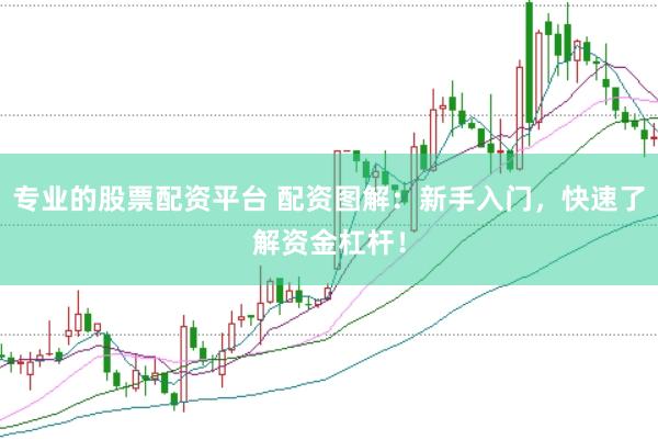 专业的股票配资平台 配资图解：新手入门，快速了解资金杠杆！