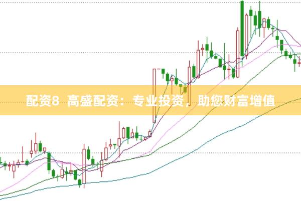配资8  高盛配资：专业投资，助您财富增值