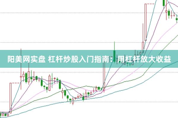 阳美网实盘 杠杆炒股入门指南：用杠杆放大收益
