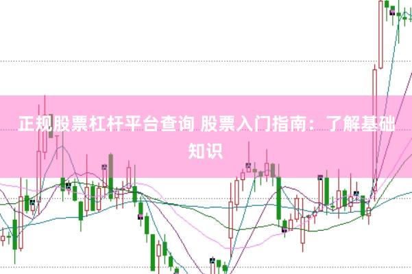 正规股票杠杆平台查询 股票入门指南：了解基础知识