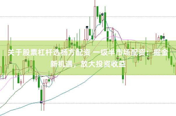 关于股票杠杆选杨方配资 一级半市场配资：掘金新机遇，放大投资收益