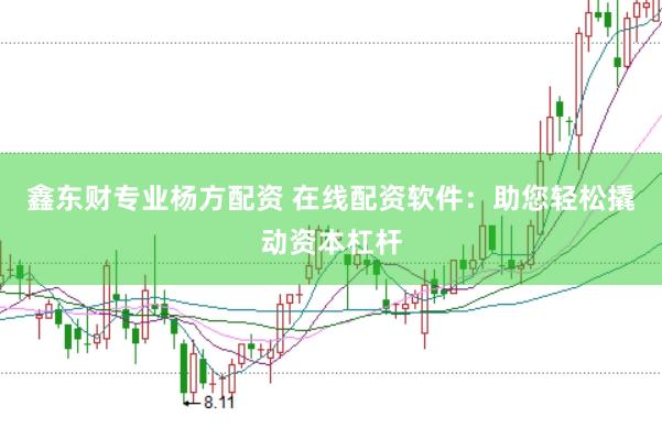 鑫东财专业杨方配资 在线配资软件：助您轻松撬动资本杠杆