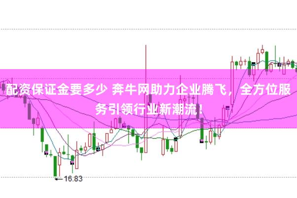 配资保证金要多少 奔牛网助力企业腾飞，全方位服务引领行业新潮流！